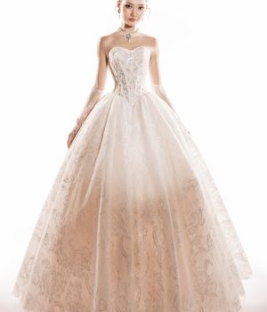 Váy Lễ Haute
