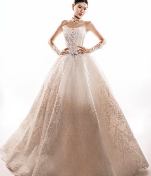 Váy Lễ Haute
